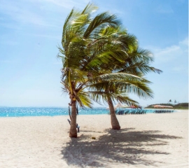 Mombassa